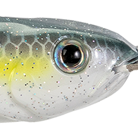 Sexy Shad