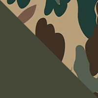 Green/Fred Bear