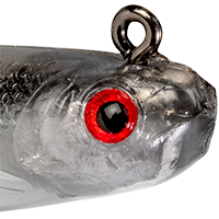 Ghost Shad