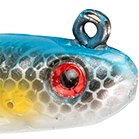 Sexy Shad