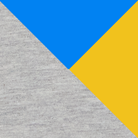 Gray/Royal/Gold