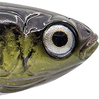 Dark Mullet