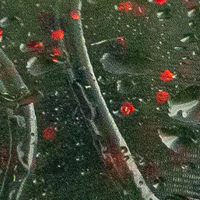 Watermelon/Red Flake