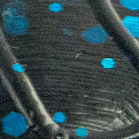 Black & Blue