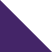 Purple/White