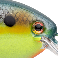 Chartreuse Sexy Shad 2.0