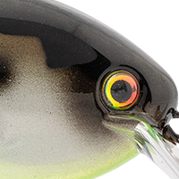Mirage Gizzard Shad