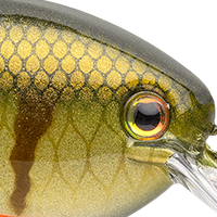 Pro Phantom Perch