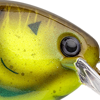 Summer Craw
