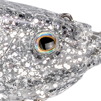 Carolina Chrome