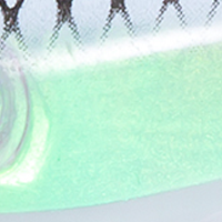 Luminous White