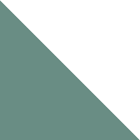 Dark Forest/Star White