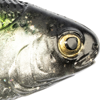 Tennessee Shad
