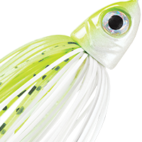 Chartreuse/White Shad