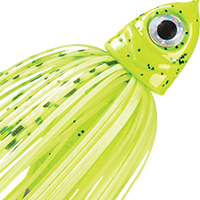 Dirty Chartreuse Shad