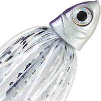Silver Shiner