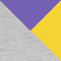 Gray/Purple/Gold