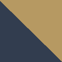 Navy/Olive
