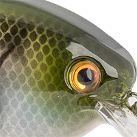 The Real Gill