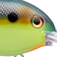 Chartreuse Sexy Shad 2.0