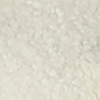 Egret