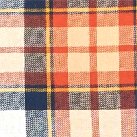 Autumn Glaze Plaid