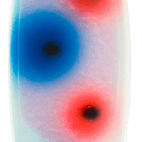 5 Eyes
