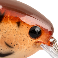Ginger Craw
