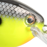 Chartreuse Baitfish