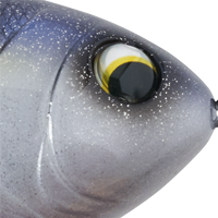 Glimmer Shad