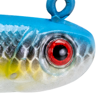 Sexy Shad
