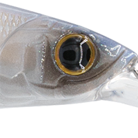 Ghost Ice Minnow