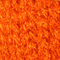 Blaze Orange
