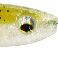 Green Pumpkin Shad