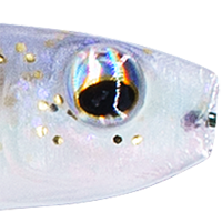 Pro Shad