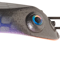 Baitfish