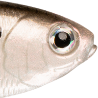 4K Shad