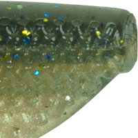 Threadfin Shad