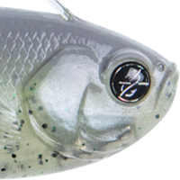 Black Crappie