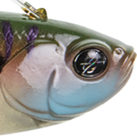Ghost Gill