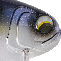 Glimmer Shad