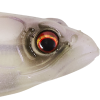 Violet Albino