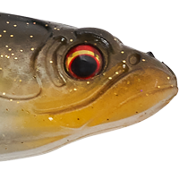 Tennessee Shad