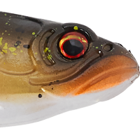 Ghost Pro Perch