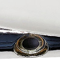 Silver Spot