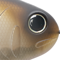 Matte Shad