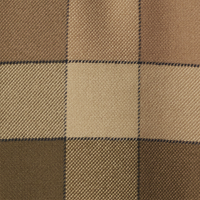 Delta Multi Windowpane Check