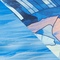 Vivid Blue Undulating/Sailfish