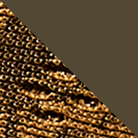 Honey/Antique
