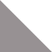 Alloy/Star White